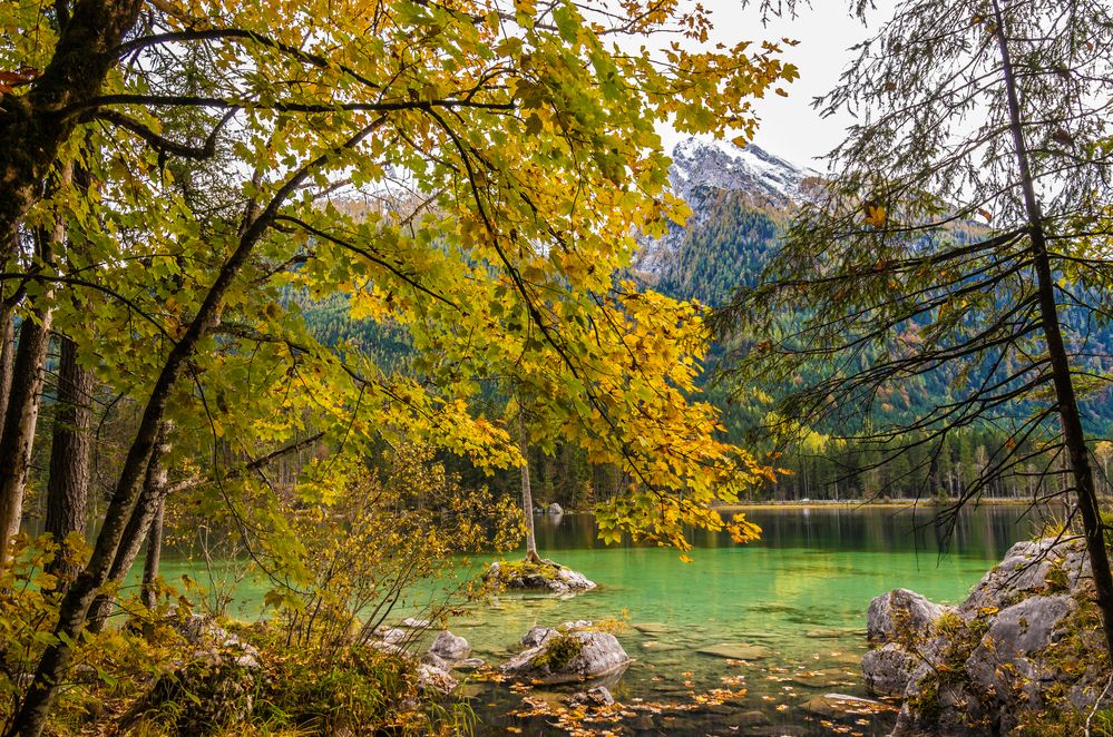 Herbst am Hintersee