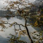 Herbst am Hintersee