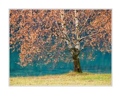 Herbst am Hintersteinersee