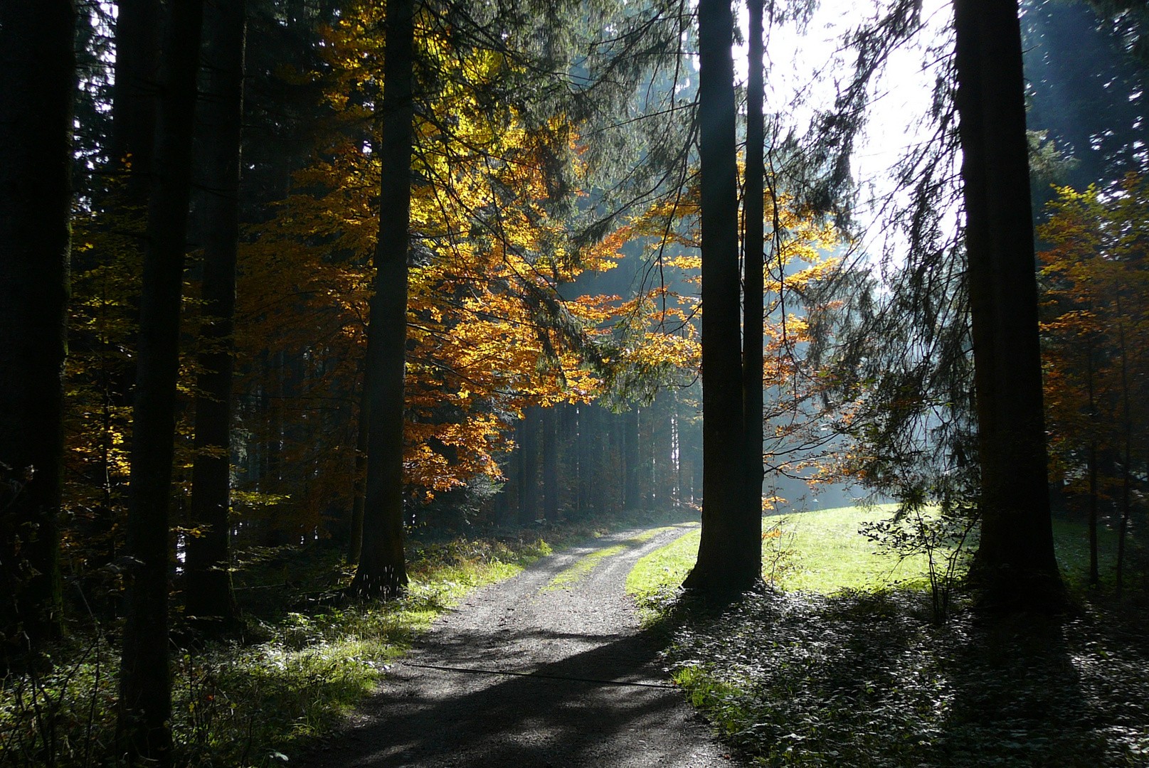 Herbst am Hirschberg (Bregenzerwald)