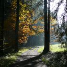 Herbst am Hirschberg (Bregenzerwald)
