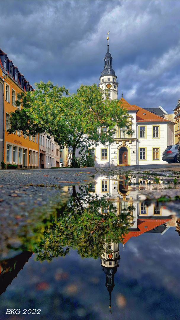 Herbst am Historischen Rathaus 