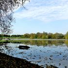 Herbst am Hitdorfer See