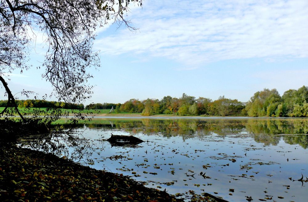 Herbst am Hitdorfer See