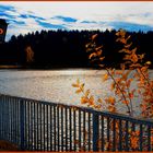 Herbst am Hochenfelden-See