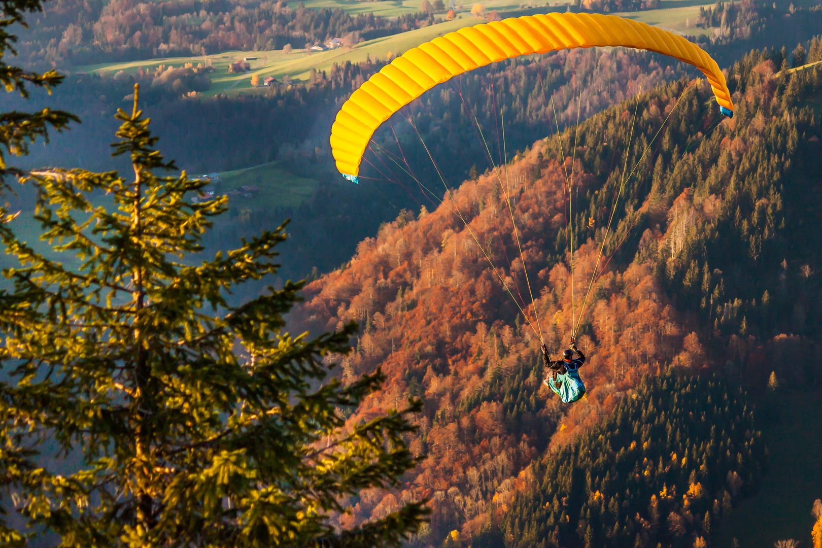 Herbst am Hochgrat / Bayern bei Oberstaufen