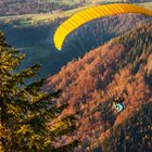 Herbst am Hochgrat / Bayern bei Oberstaufen