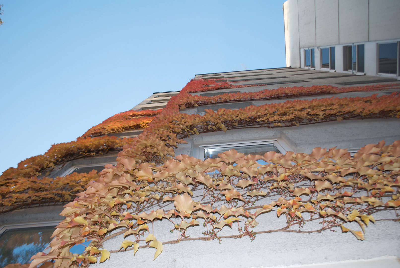 Herbst am Hochhaus