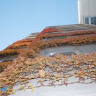 Herbst am Hochhaus