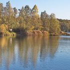 Herbst am Höhenfelder See