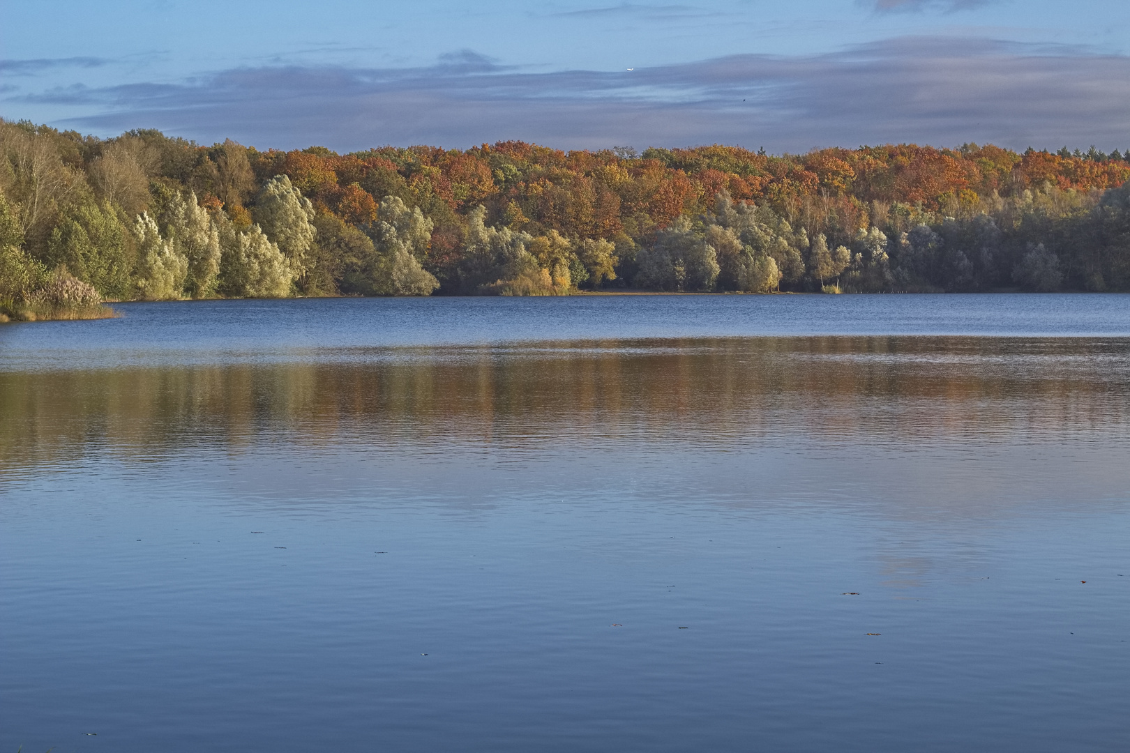 Herbst am Höhenfelder See