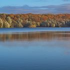 Herbst am Höhenfelder See