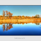 Herbst am Höllteich