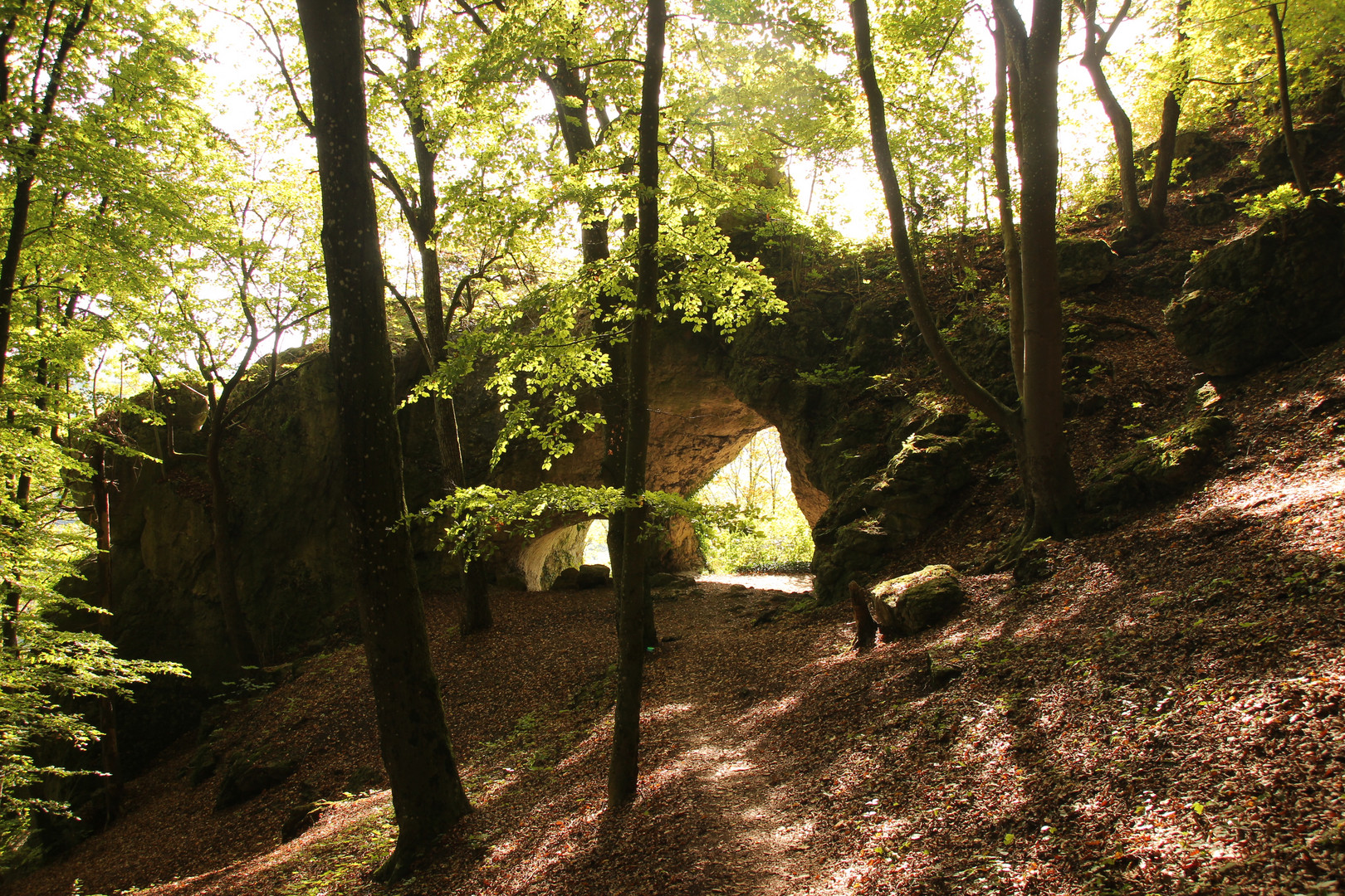 Herbst am Hohlen Fels