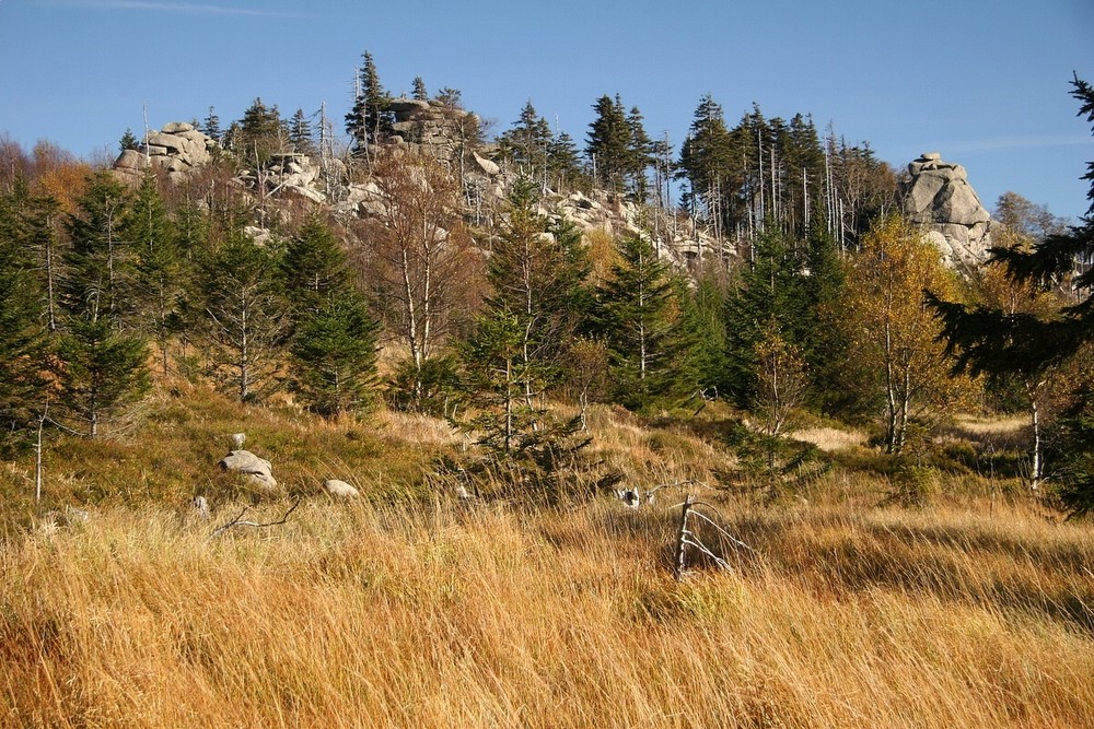 Herbst am Hohnekamm