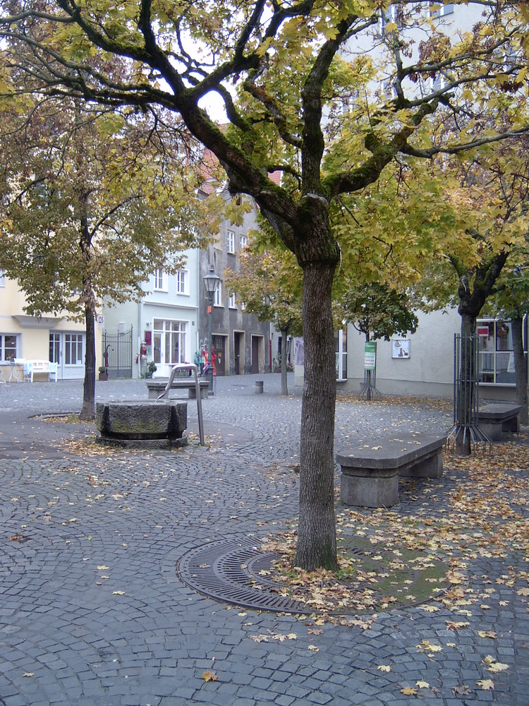 Herbst am Holbeinhaus