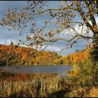 *Herbst am Holzmaar*