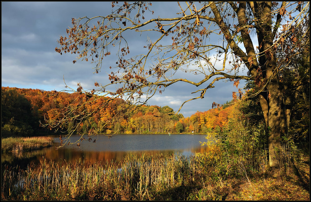 *Herbst am Holzmaar*