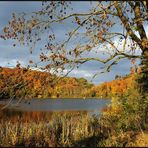 *Herbst am Holzmaar*