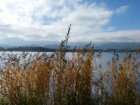 Herbst am Hopfensee