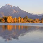 Herbst am Hopfensee