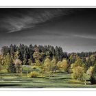 Herbst am Innviertler Golfplatz 017