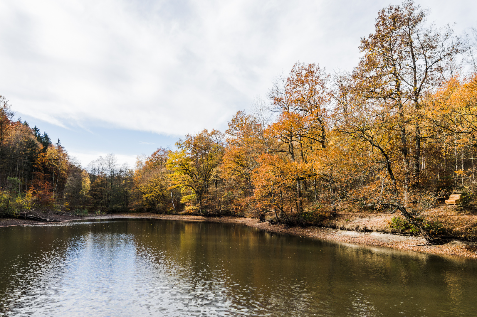 Herbst am Itzenplitzer Weiher (Heiligenwald/Saarland)