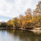 Herbst am Itzenplitzer Weiher (Heiligenwald/Saarland)