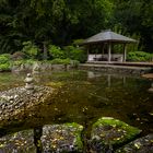 Herbst am japanischen Pavillon