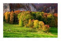 Herbst am Jura