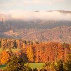 Herbst am Jurasüdfuss