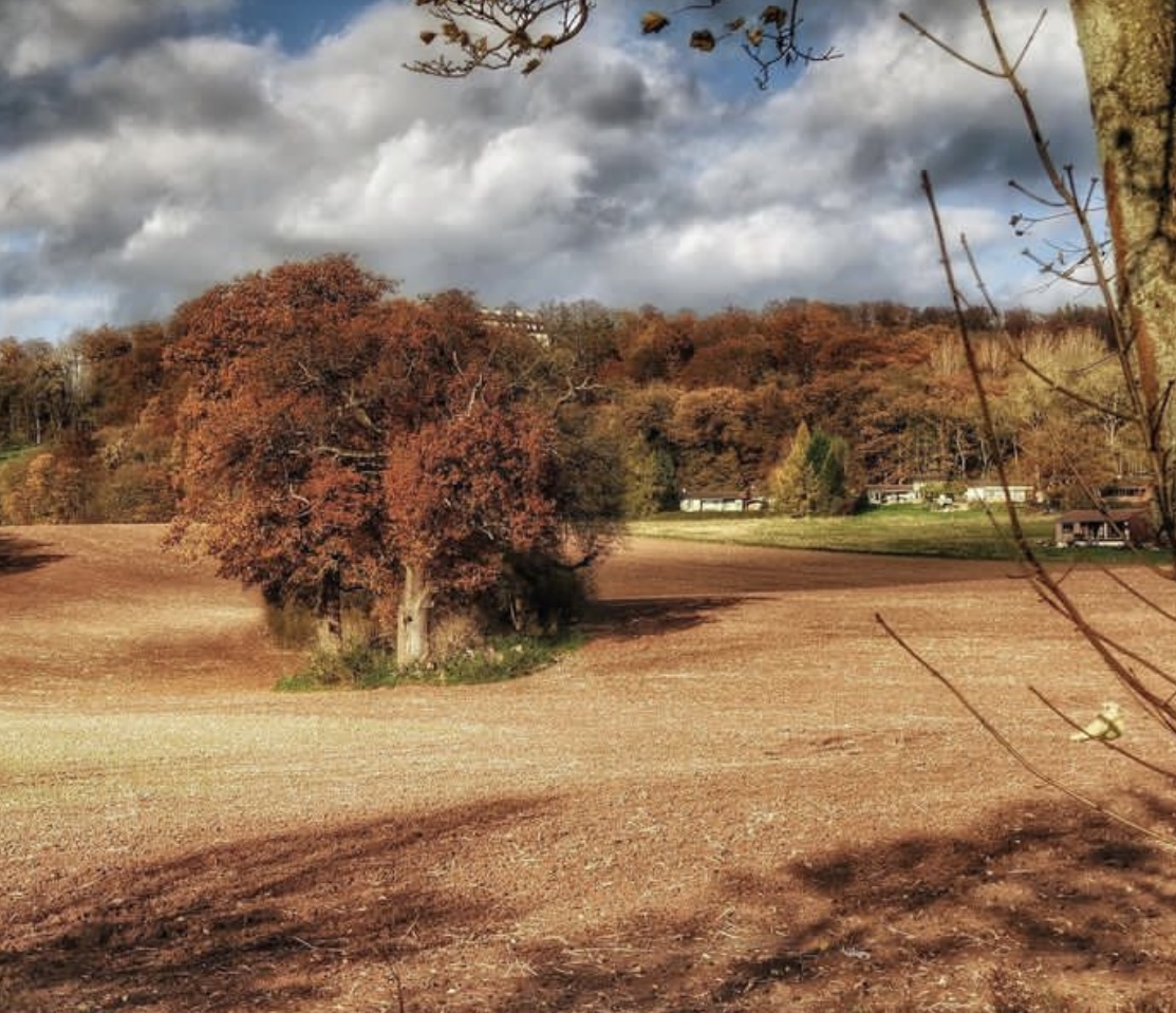 Herbst am Kaiserbrunnen