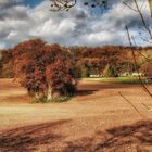 Herbst am Kaiserbrunnen