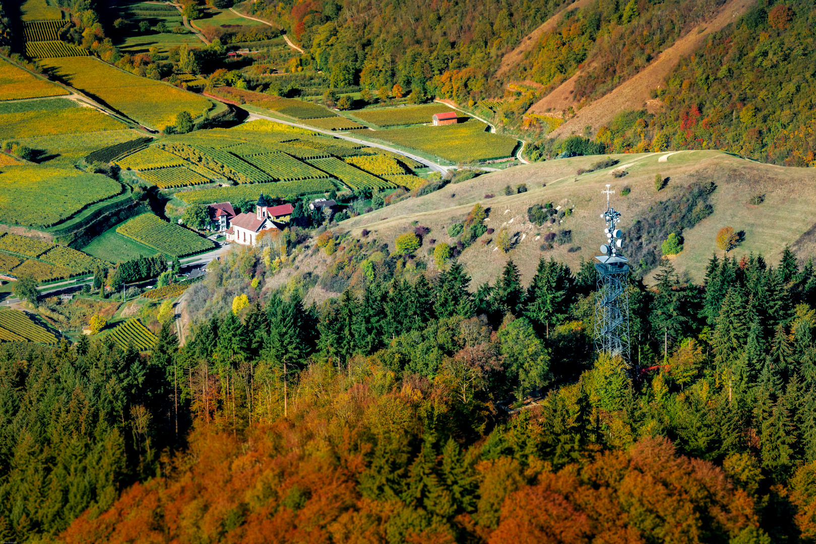 Herbst am Kaiserstuhl 