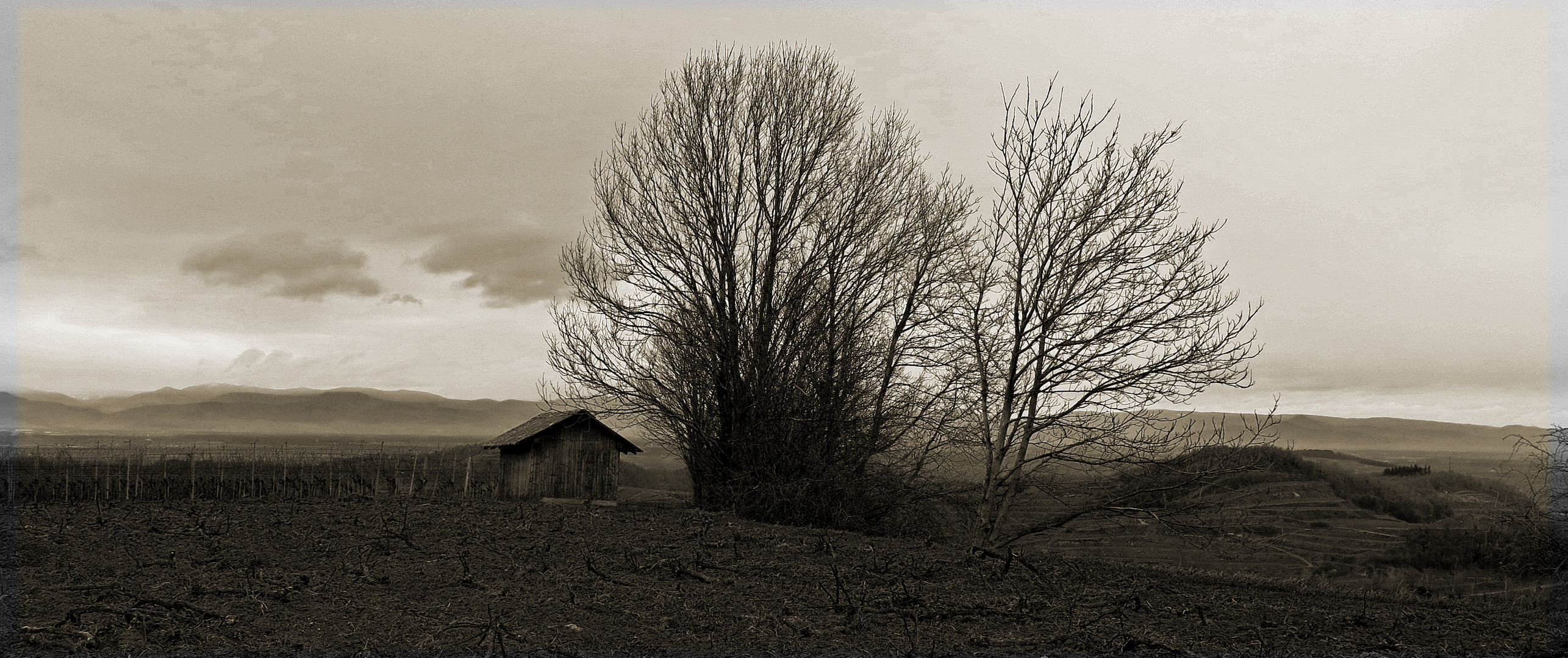 Herbst am Kaiserstuhl