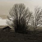 Herbst am Kaiserstuhl