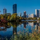 Herbst am Kaiserwasser (3)