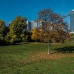 Herbst am Kaiserwasser (4)