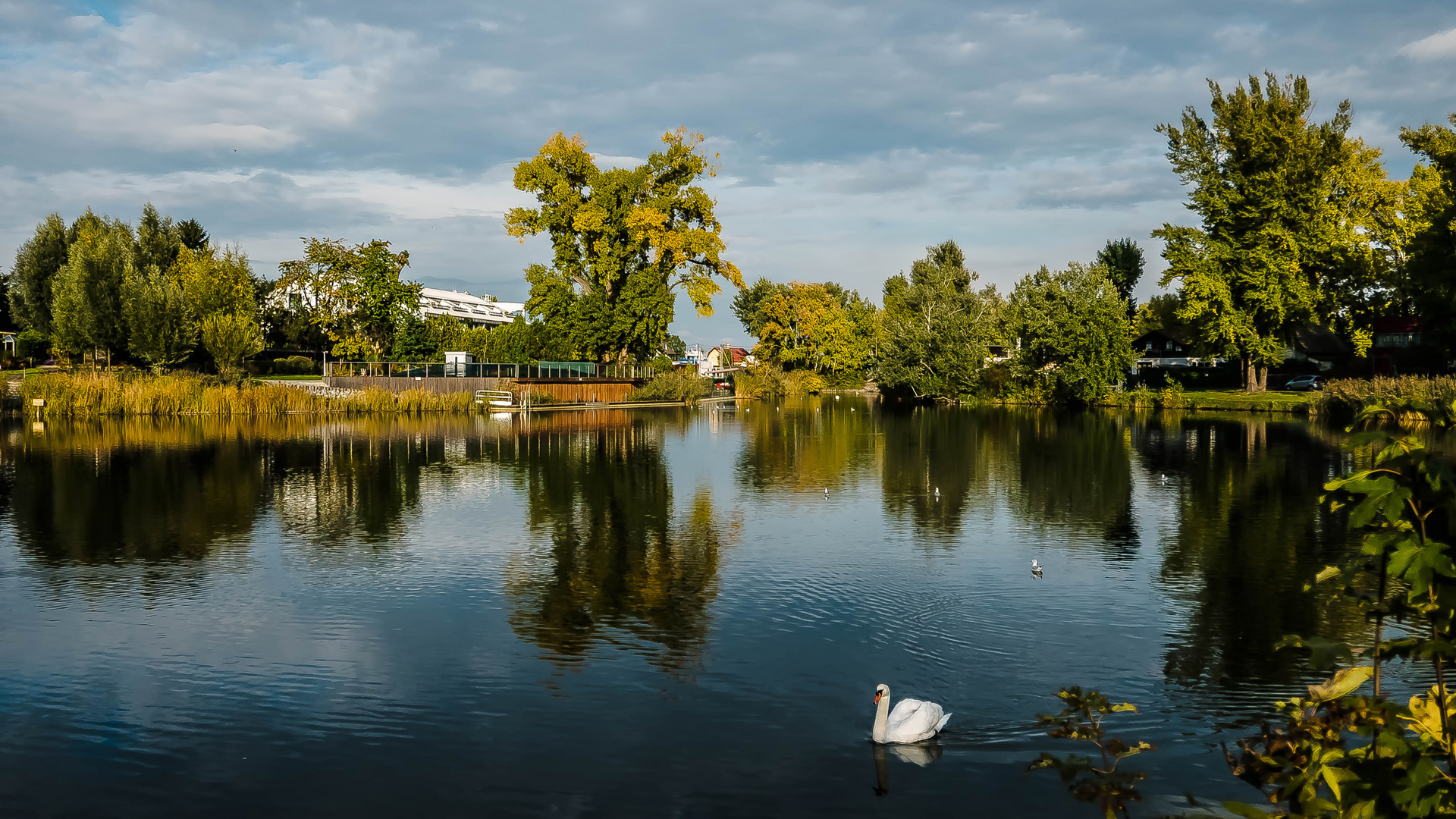 Herbst am Kaiserwasser (7)