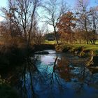 Herbst am Kaltenbach