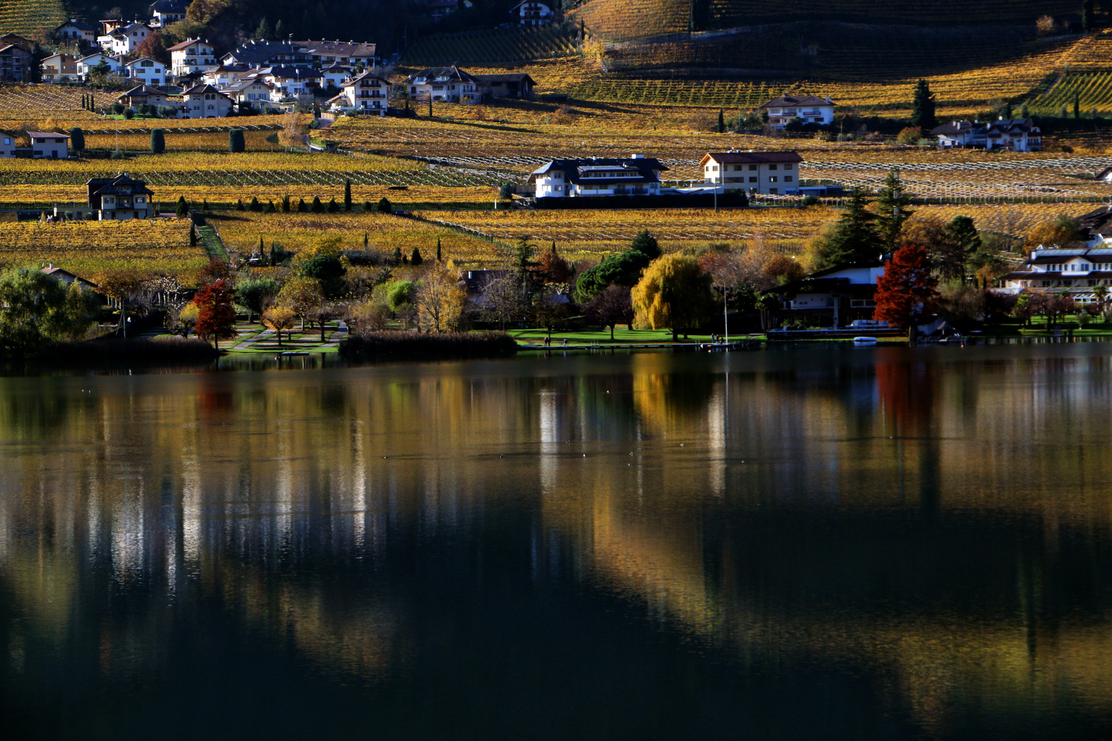 Herbst am Kalterer See