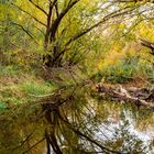 Herbst am Kamp