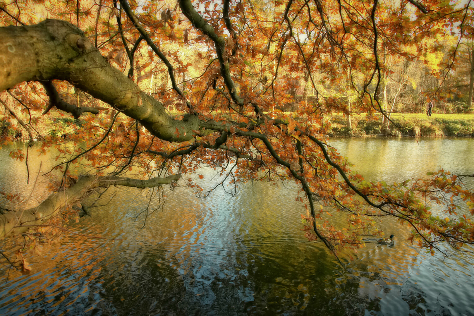 Herbst am Kanal