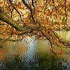 Herbst am Kanal