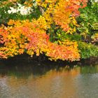 Herbst am Kanal