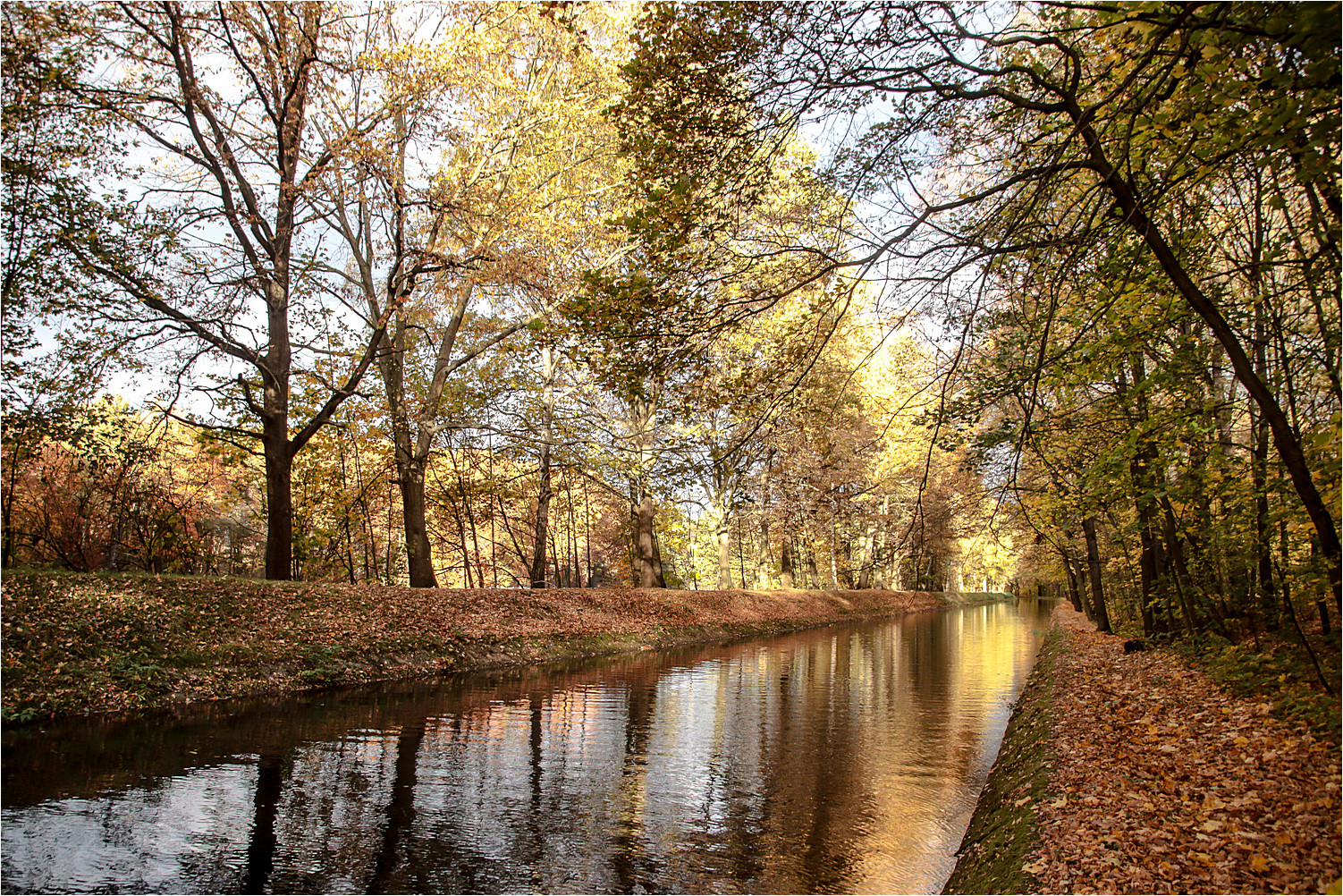 Herbst am Kanal 5