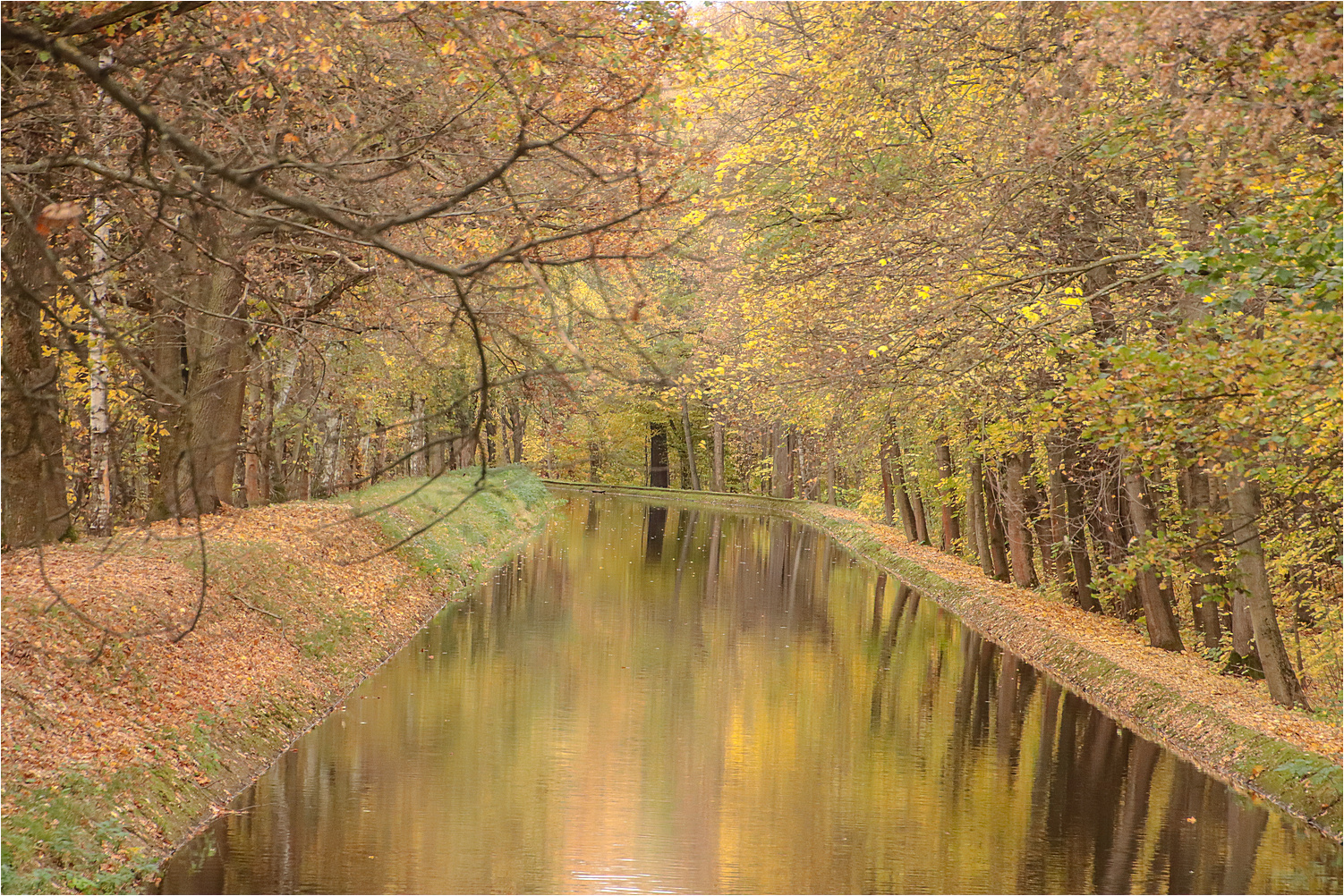 Herbst am Kanal 6