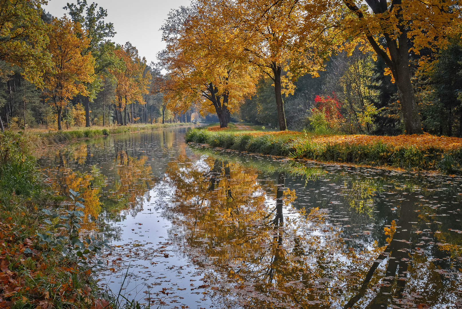 Herbst am Kanal