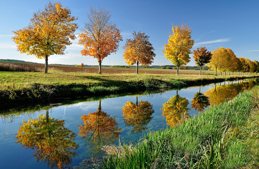 Herbst am Kanal