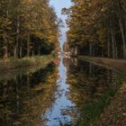 Herbst am Kanal